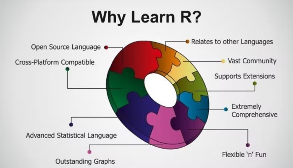 R Programming, data science skills