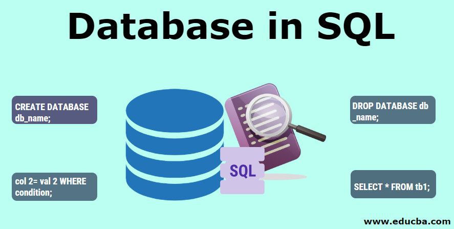 SQL, data science skills