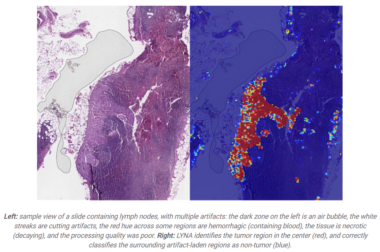 Data in Action: 7 Data Science Case Studies Worth Reading