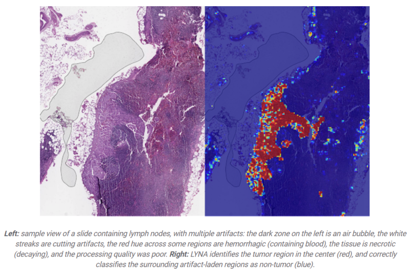 Data in action 7 data science case studies worth reading