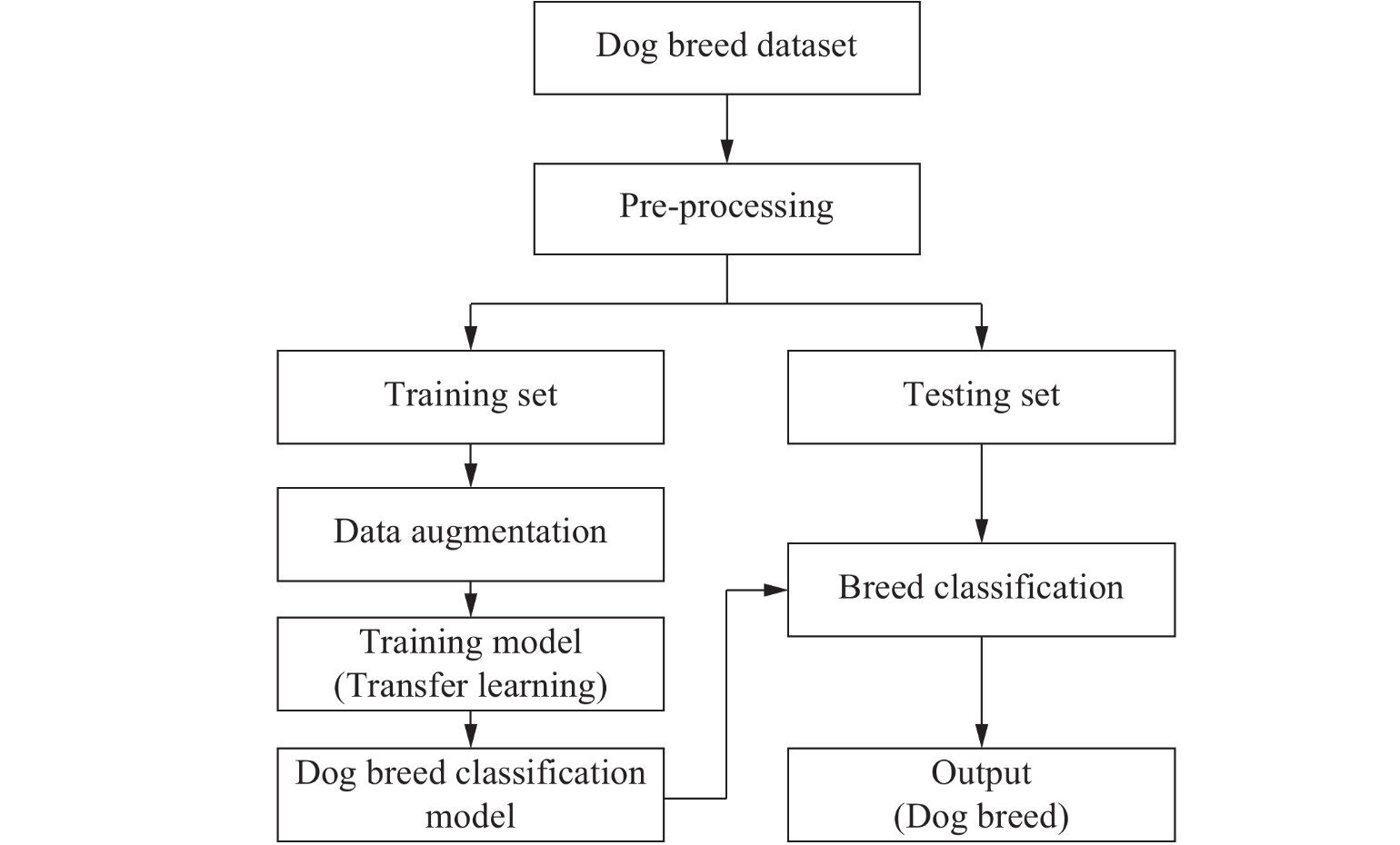 Intermediate Data Science Projects, Identifying Dog Breeds Using Neural Networks