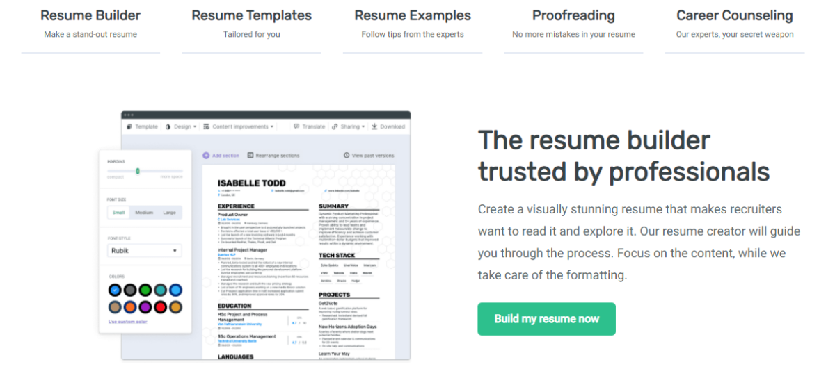 template for Full Stack Developer Resume