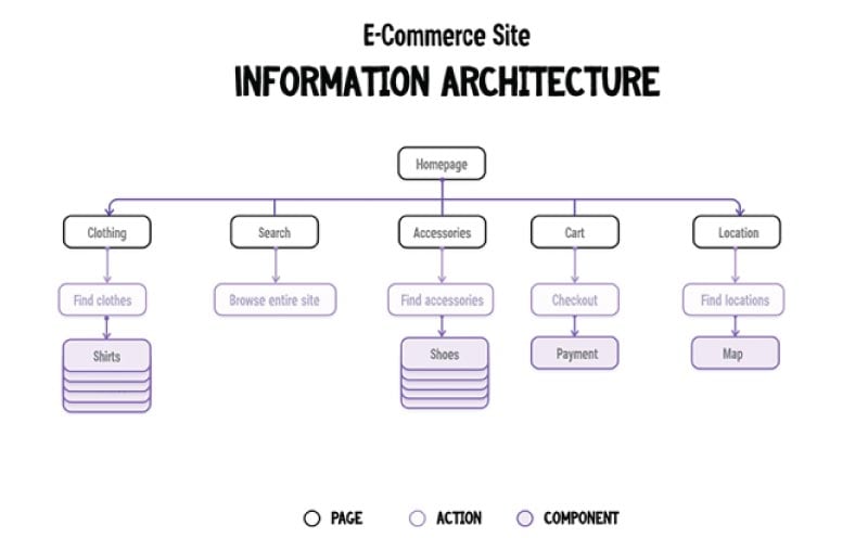 information architect 