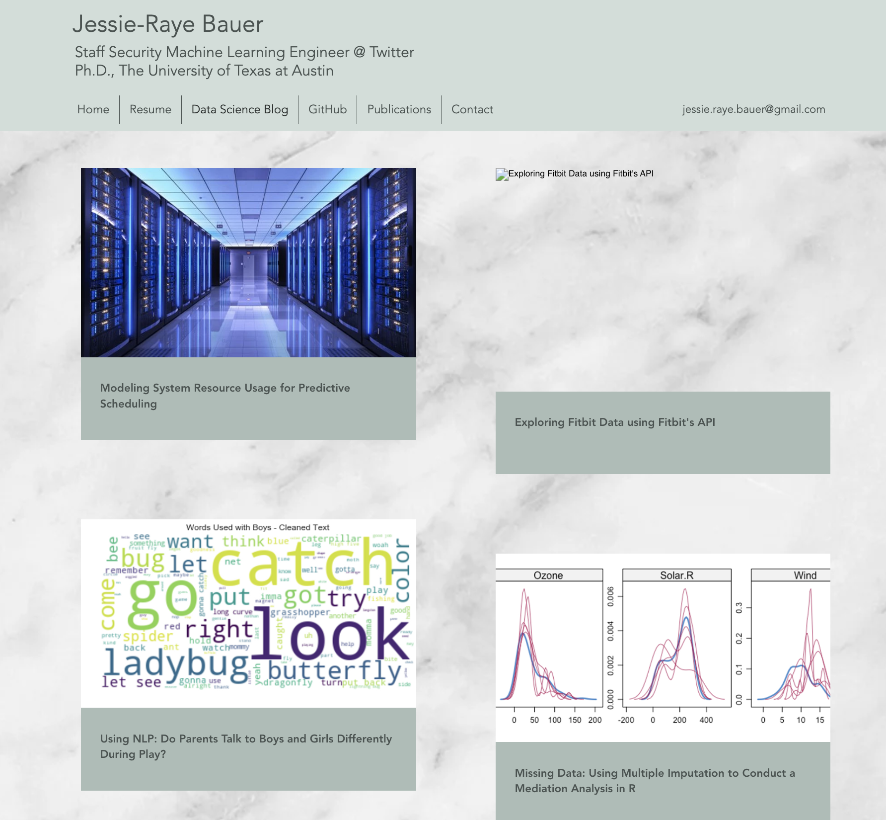 data science portfolio example - Jessie-Raye Bauer