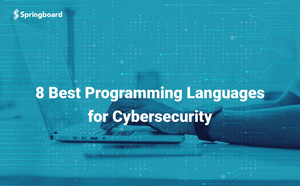 8 Best Programming for Cybersecurity Guide]