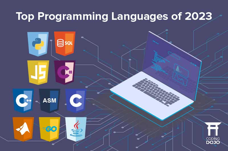 how to become an ethical hacker, Learn the Essential Programming Languages