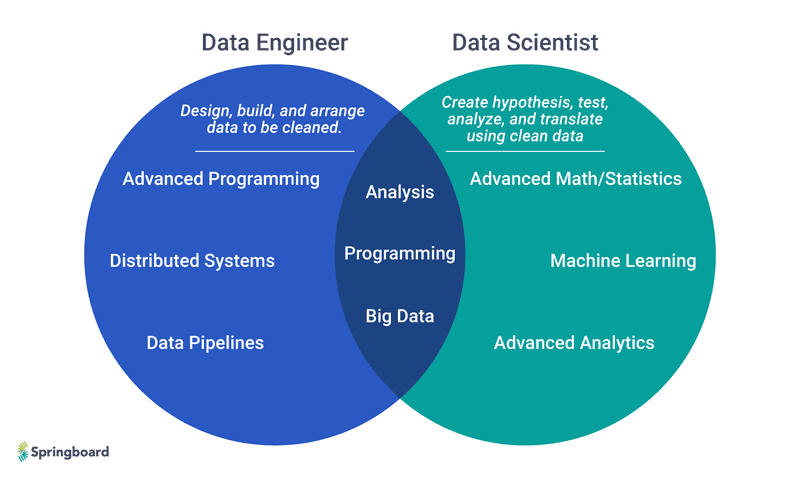 data scientist vs. data engineer