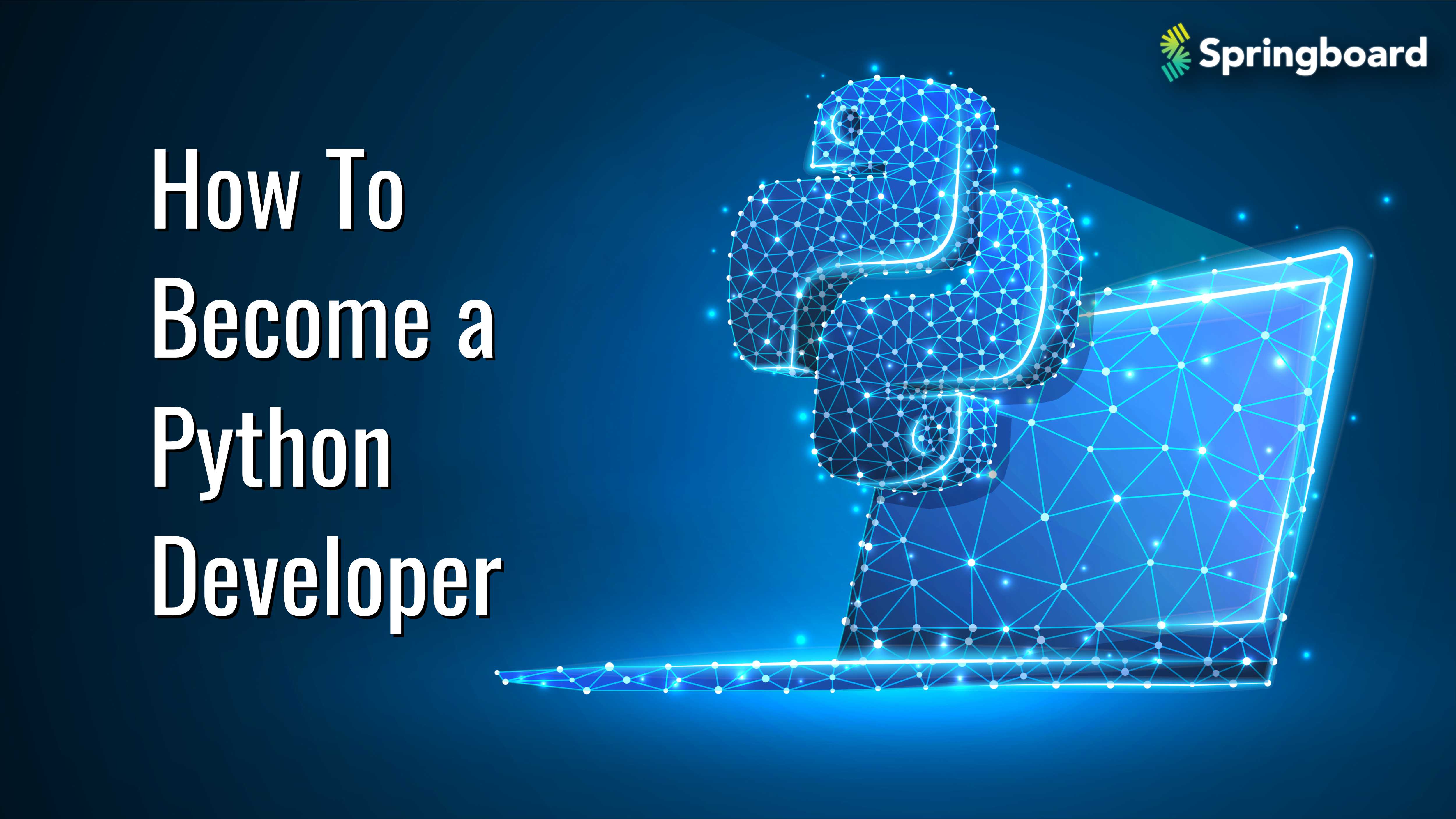 How To Become a Python Developer